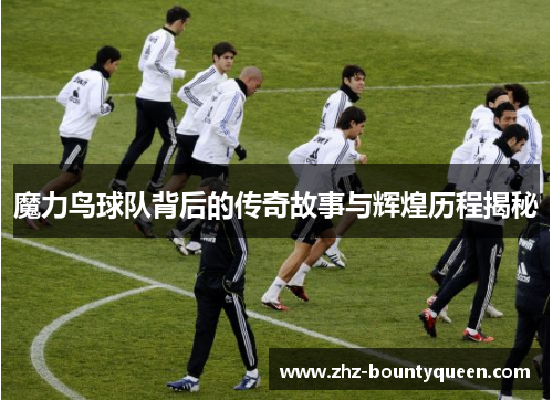 魔力鸟球队背后的传奇故事与辉煌历程揭秘