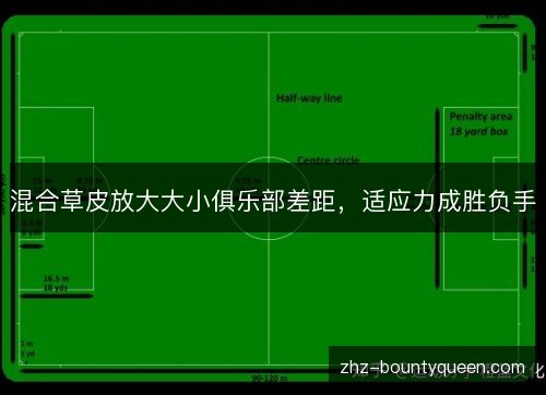混合草皮放大大小俱乐部差距,适应力成胜负手 混合草皮放大大小俱乐部差距,适应力成胜负手